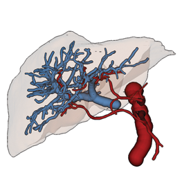 Example Visualisation by resp. auther